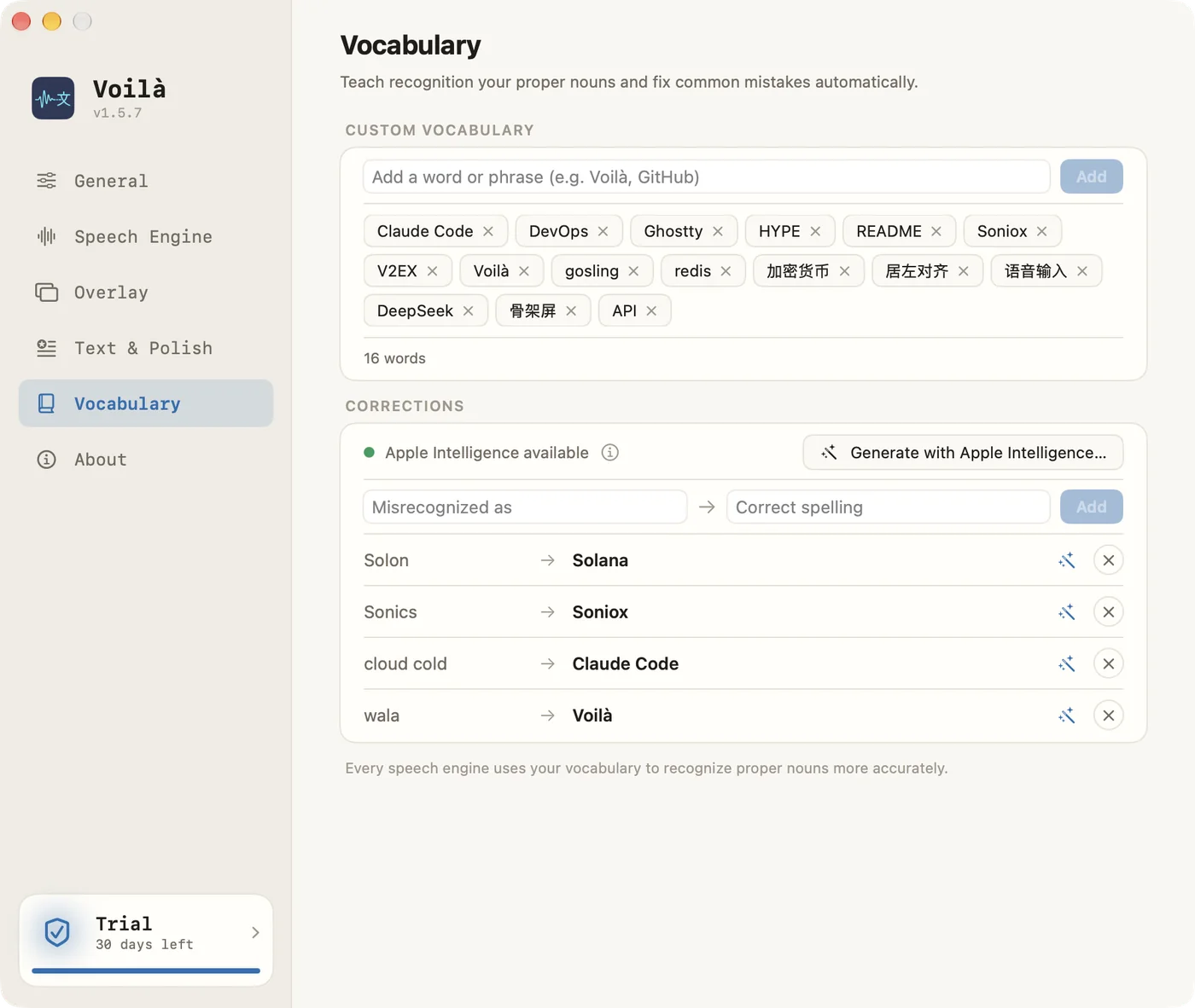 Voilà settings window — Vocabulary