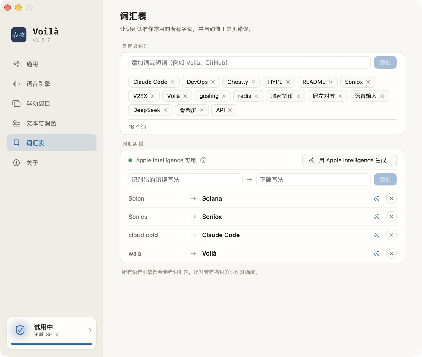 Voilà 设置窗口 — 词汇表